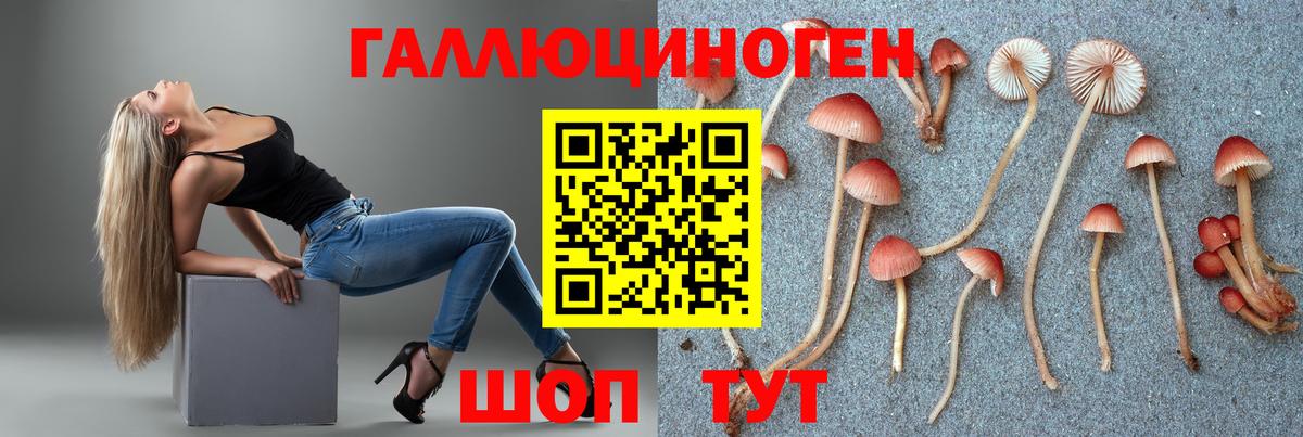 Галлюциногенные грибы Cubensis  Вход с VPN  Лесосибирск 
